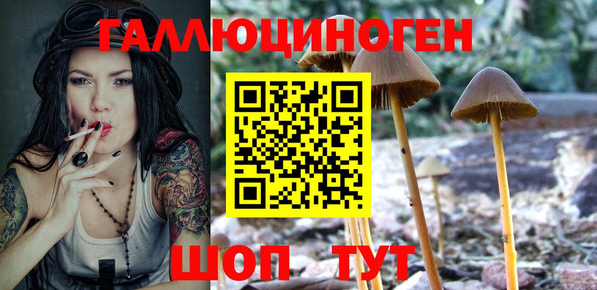 Галлюциногенные грибы Psilocybe Ступино